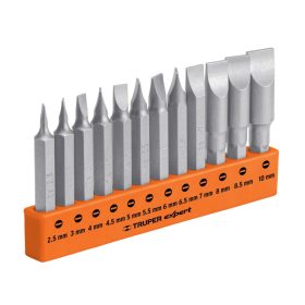   TRUPER EXPERT PUN-12PL2M Lapos bitkészlet, 50 mm, 12 db (101677)